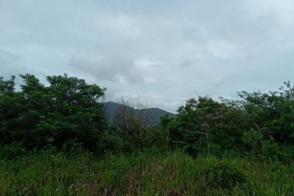 22 hectares within altos del maria with views