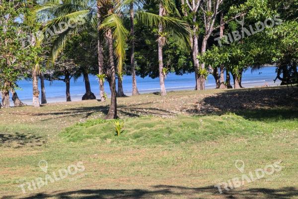 Venta de isla en panamá, isla cébaco