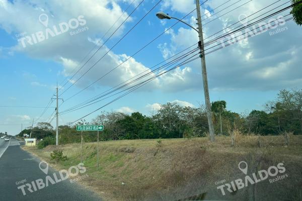 Se alquila terreno frente a la panamericana en punta barco viejo