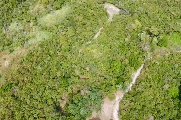 Finca de 4.3 hectareas – proyecto ideal comunidad