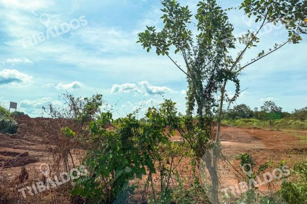 Venta de terreno de 29ha en pacora