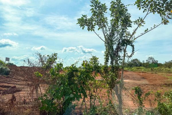 29 ha land for sale in pacora