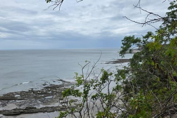 Terreno urbanizable frente al mar en venta | el palmar