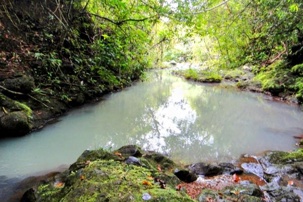 Ocean-view riverfront land-40.66 ha in san carlos