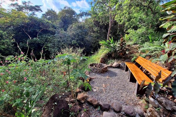 Propiedad de 3 acres frente al río con casa de huespedes