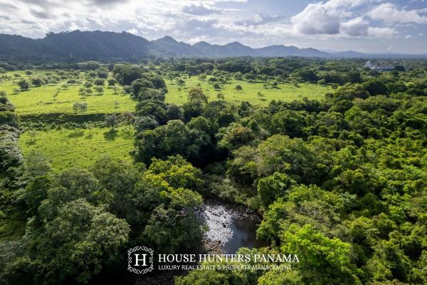 Terreno urbanizable de 11 hectáreas en venta - bagalá, panamá