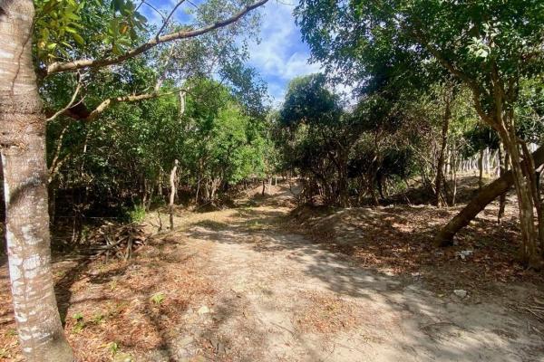 Finca de 4.3 hectareas – proyecto ideal comunidad