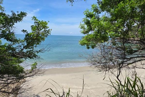 Terreno urbanizable frente al mar en venta | el palmar
