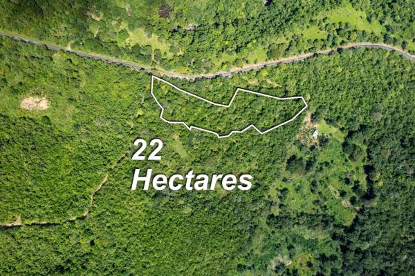 22 hectares of pristine land caldera panama
