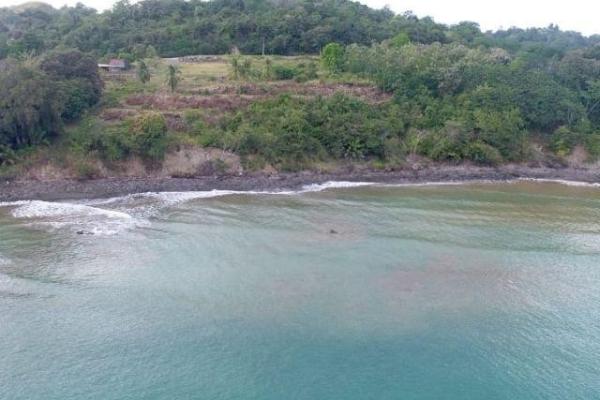 Terreno de 4 ha con teca, frente al mar, puerto armuelles