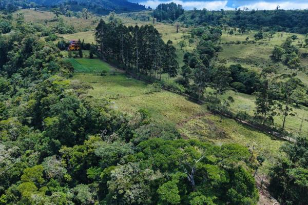 Land for sale – boquerón, cordillera arriba