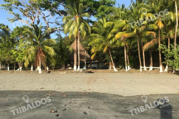 Venta de isla en panamá, isla cébaco