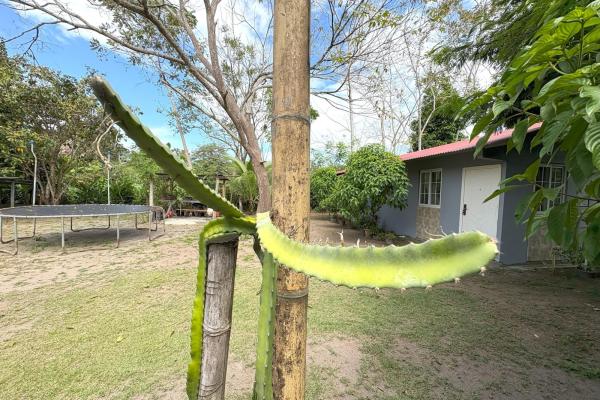 Amplia propiedad con casa y lote de 2.182 m²