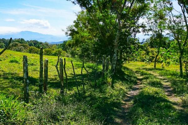 Finca cafetalera en venta en potrerillos arriba
