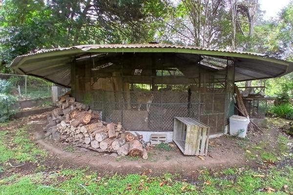 Beautiful park property in high-altitude location