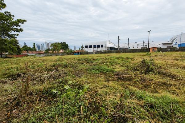 Commercial land for sale on ave. jose agustin a.