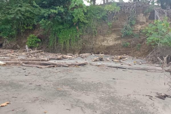 Terreno 69 hectareas en puerto armuelles, limones oportunidad de inversión