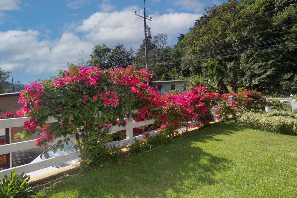 Fantastic & successful downtown boquete hotel