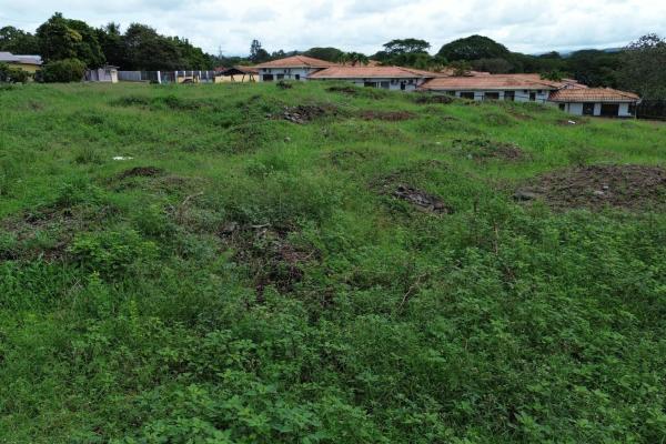 Commercial lot for sale in david