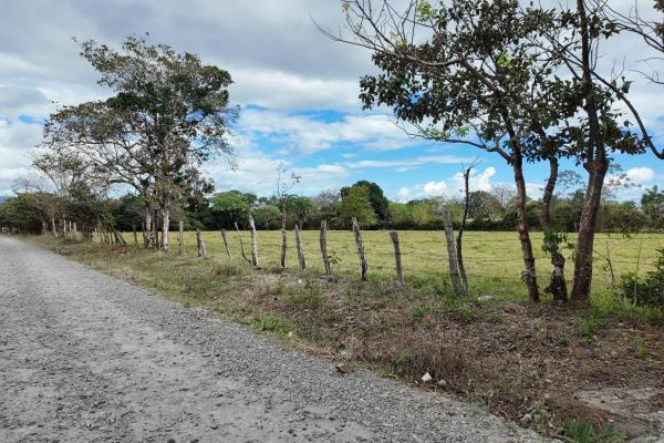 Prime flat land for sale in cochea abajo, david