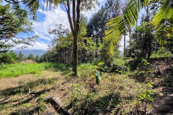 Land for sale in sorá chame