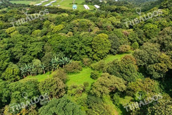 Venta de terreno ecoturístico a 8km de el pueblo de el valle de antón