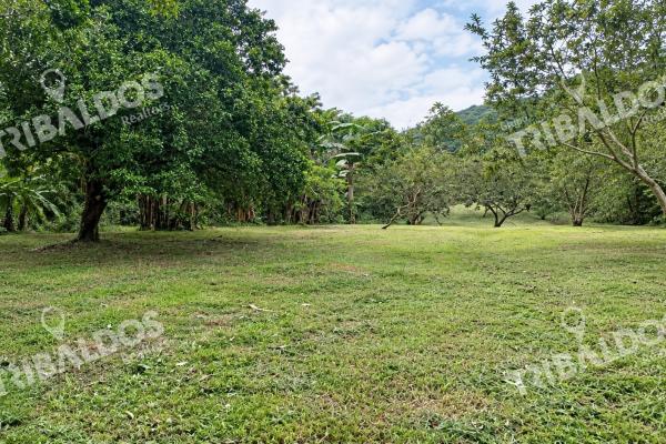 Ecotourism land for sale from el valle de antón