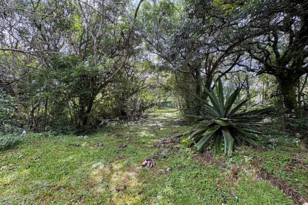 Spacious 9,229 m² flat lot in alto boquete