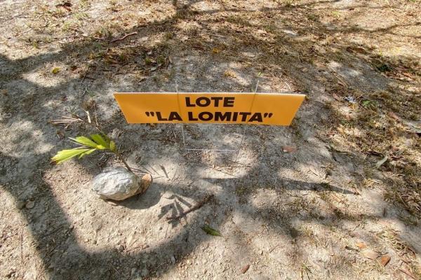 Finca de 4.3 hectareas – proyecto ideal comunidad