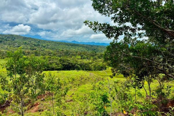 Se vende hermosa finca de 16+ hectareas en jaramillo, boquete