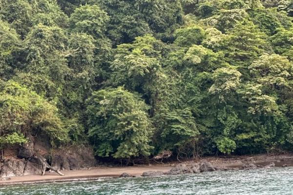67-hectare oceanfront sanctuary in arena, veraguas