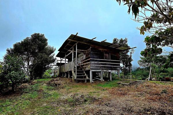 96.10 hectare in boquerón, las monjas