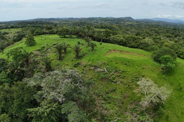 Se vende terreno para desarrollo residencial en el trapichito, la chorrera
