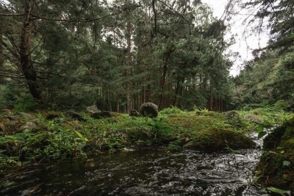 Private estate with river and hotel potential