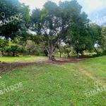 Venta de terreno en punta barco