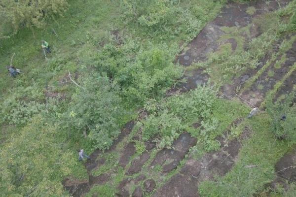 Terreno 5.4 ha en coloncito de nueva gorgona.