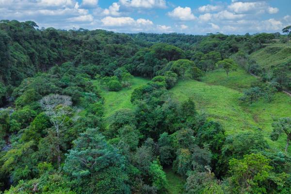 Naturaleza, espacio y potencial en un solo lugar