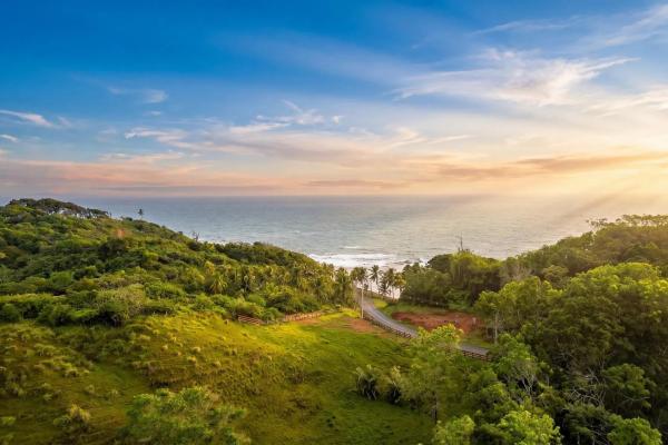 55 hectare cattle farm for sale in colon