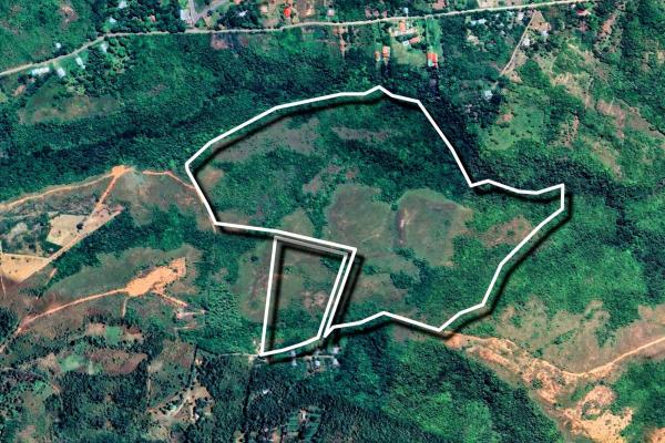 Ocean-view riverfront land-40.66 ha in san carlos