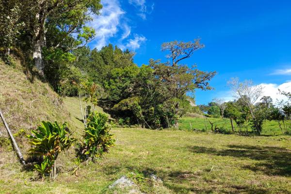 Lote privilegiado en venta en volcán