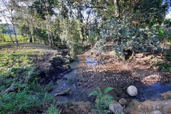 Finca agrícola en venta en renacimiento, monte lirio, palmarito.