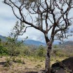 Beautiful 27ha estate for sale in caldera, boquete