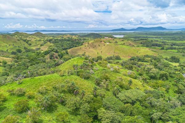 6-hectare hill property for sale in boca chica