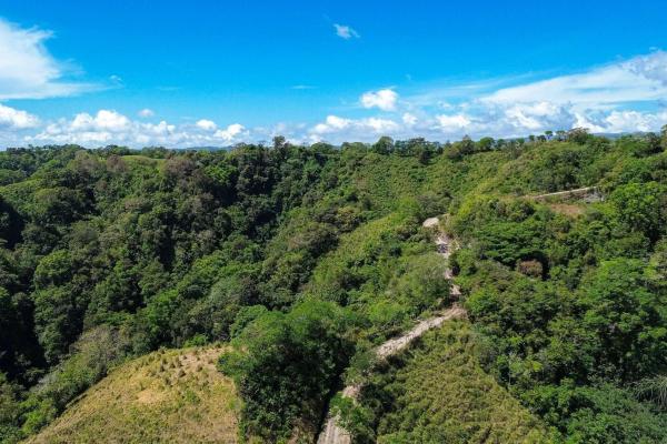 Expansive 146.652 ha property with water sources