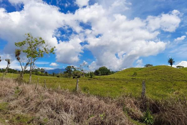 Expansive 146.652 ha property with water sources