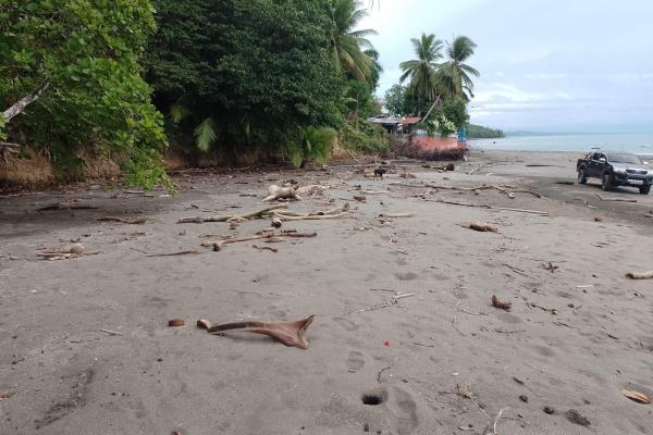 Terreno 69 hectareas en puerto armuelles, limones oportunidad de inversión