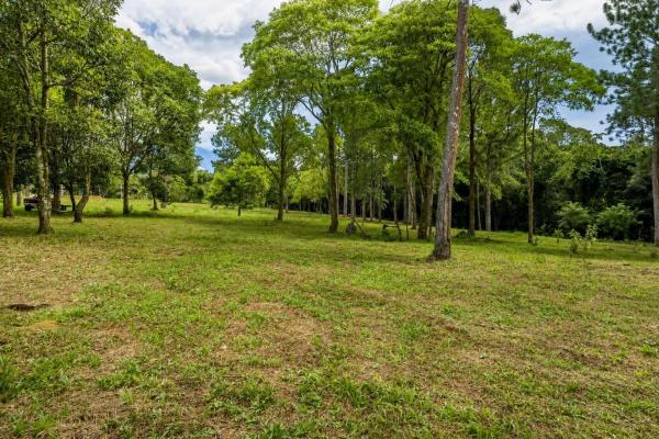 Se vende terreno de 1.9 hectáreas en potrerillos arriba