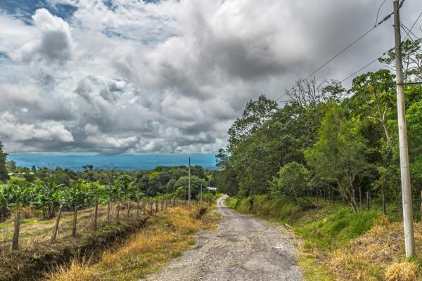 Land with natural forest and mountain views