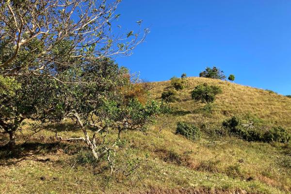 Cattle farm or private retreat
