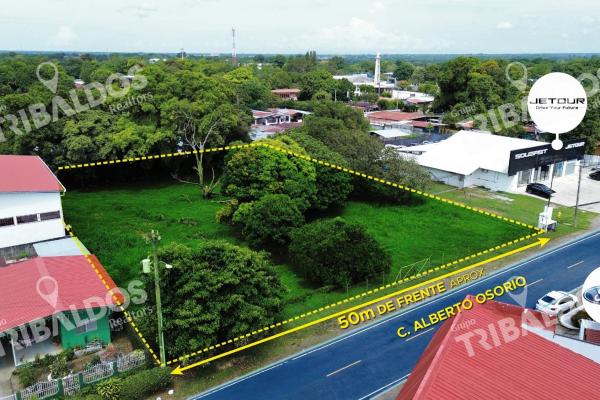 Commercial land for sale in chiriquí